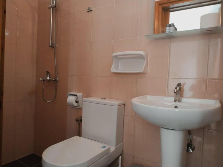 Pension Nikolas Skiathos Town Bagian luar foto