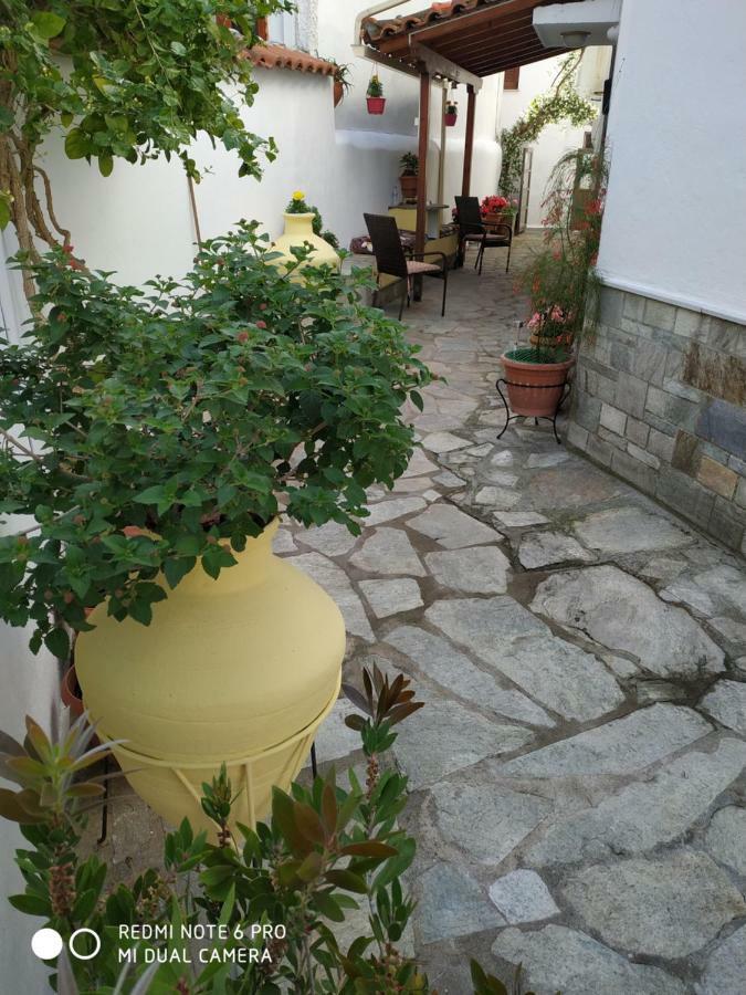 Pension Nikolas Skiathos Town Bagian luar foto